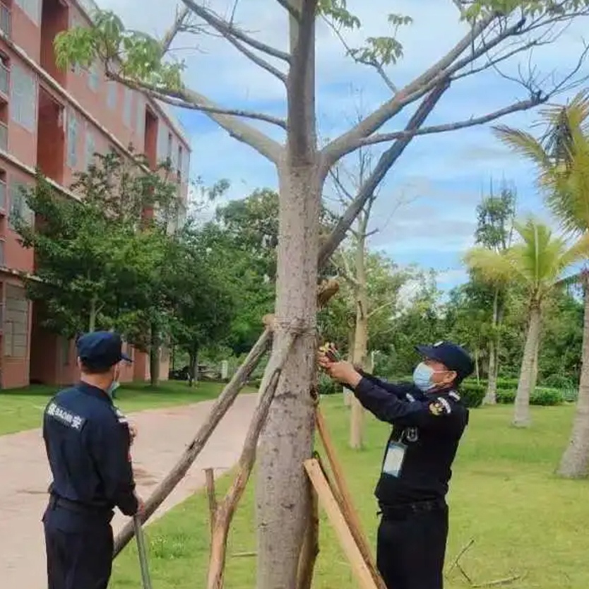 聞“風(fēng)”而動，全力以“復(fù)” | 災(zāi)后重建，百雀人在行動